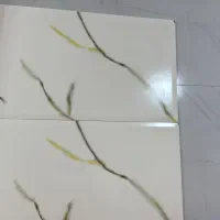 کاشی سرامیک کف و دیوار|مصالح و تجهیزات ساختمان|تهران, تهرانسر شرقی|دیوار