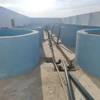 به یک نگهبان نیازمندیم