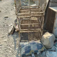 قفس جفت گاه کبوتر معاوضه با کبوتر رنگی مرغ|لوازم جانبی حیوانات|بندر کنگان, |دیوار