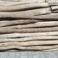 خریدار چوب خشک سقفی|خدمات باغبانی و درختکاری|کیار, |دیوار