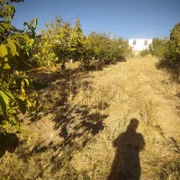 فروش باغ ویلا|فروش خانه و ویلا|نورآباد, |دیوار