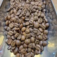 فروش قهوه و نسکافه لاواتزا