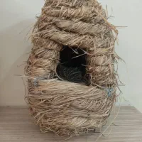 یک جفت مرغ عشق و لانه حصیری|پرنده|ری, منصوریه منگل|دیوار