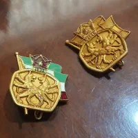 ۲ عدد بج سینه بانک توسعه صنعتی و معدنی ایران