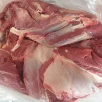 سردست گوساله گرم و تازه