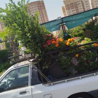 خدمات باغبانی وگل آپارتمانی درمنزل وشرکت|خدمات باغبانی و درختکاری|تهران, نیاوران|دیوار