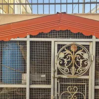 قفس ..مناسب برای پرنده یا حیوانات|لوازم جانبی حیوانات|چادگان, |دیوار