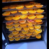 کسب وکار خانگی