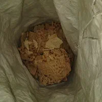 نون خشک فروشی