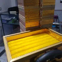 جعبه انگشتر