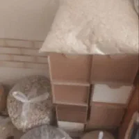 وسایل خوراک پرنده معاوضه با پرنده فنچ طوطی کوتوله|لوازم جانبی حیوانات|سیستان, |دیوار