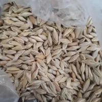 تریلی بارگیری شده|خدمات حمل و نقل|زرین آباد, |دیوار