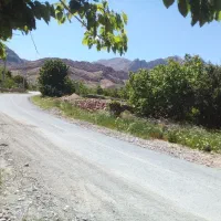 زمین مسکونی در روستای فارسیان