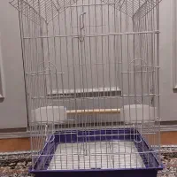 قفس بزرگ۸۵۰