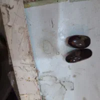 مهره قدیمی|کلکسیون اشیاء عتیقه|امیدیه, |دیوار