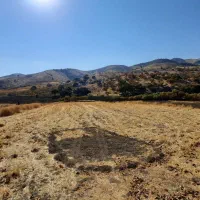 زمین کشاورزی|فروش دفتر صنعتی، کشاورزی، تجاری|کامیاران, |دیوار