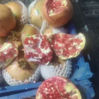 انار عمده|خوردنی و آشامیدنی|شیراز, ابیوردی|دیوار