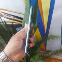 note 10 pro|موبایل|رشت, دروازه لاکان|دیوار
