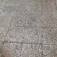 کفسابی و نظافت سطوح.