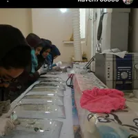 اسکان رایگان
