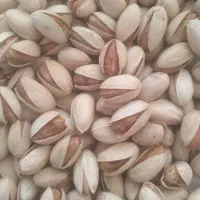 پسته حسن عباسی و احمدآقایی|خوردنی و آشامیدنی|قم, شهرک سازمان آب|دیوار