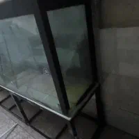 اکواریوم|ماهی|فردیس, شهرک شهید حسینی|دیوار