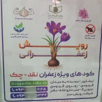 کود مخصوص زاچ آب زعفران(رویش سبز)