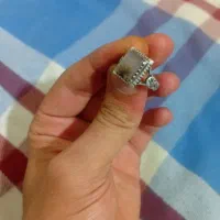 انگشتر شجر قائن اصل