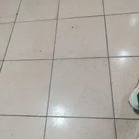 گچ خاک سفیدکار