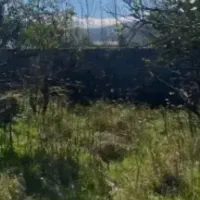 زمین ب مساحت ۱۸۶ متر