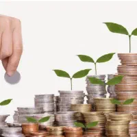 سبدگردانی ( سرمایه گذاری ) در بورس