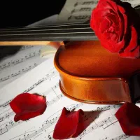 تدریس و آموزش حرفه ای ساز ویولون