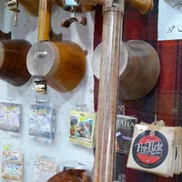 کمانچه کاسه شیپوری