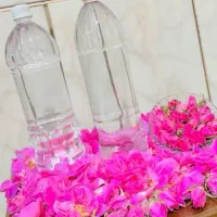گلاب اصل با غلظت بالا (به شرط تست)