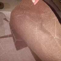 موکت