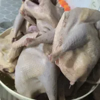 مرغ محلی اصل موجوده ،اصلا دورگه نیست تو عکس مشخصه