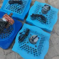 اسپلش پرورش ماهی