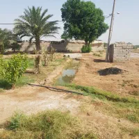 زمین کشاورزی|فروش زمین و ملک کلنگی|اهواز, گلستان|دیوار