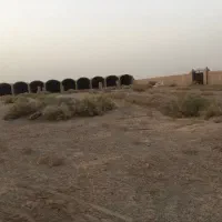 دامداری