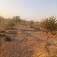 مزرعه قنات شش دانگ تک برگ سند