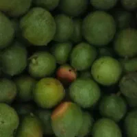 حراج. گر دو