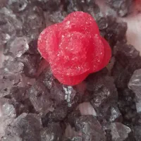 فروش انواع نبات دمنوشی مناسب کافی شاپ ها|خوردنی و آشامیدنی|تهران, بهار|دیوار