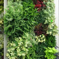 استخدام سرایدار