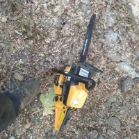 خریدارانواع درختان خشک ومزاحم تسویه نقدی سرباسکول|خدمات باغبانی و درختکاری|کوهدشت, |دیوار