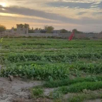 زمین ۱۰۰۰ متری بنک