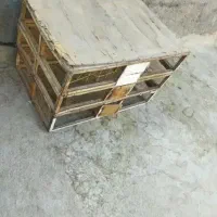 جفتگاه