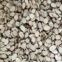 تخم هندوانه کلاله با کیفیت اینجا قیمت مناسب تره