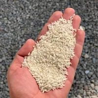 برنج عنبر بو شوشتر درجه یک