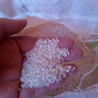 برنج نیم دونه گیلان