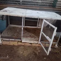 قفس مرغ|لوازم جانبی حیوانات|امیدیه, |دیوار